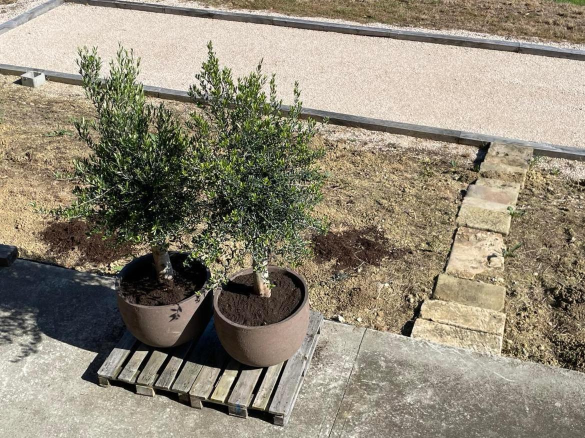 Maison Cabet Castelnavet Екстер'єр фото
