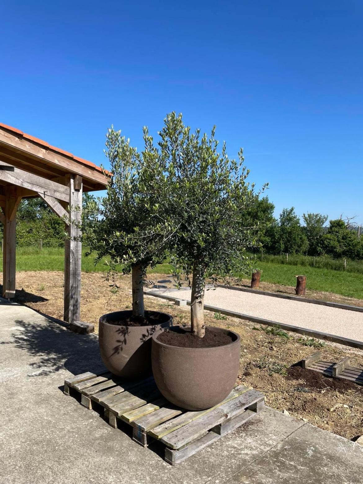 Maison Cabet Castelnavet Екстер'єр фото